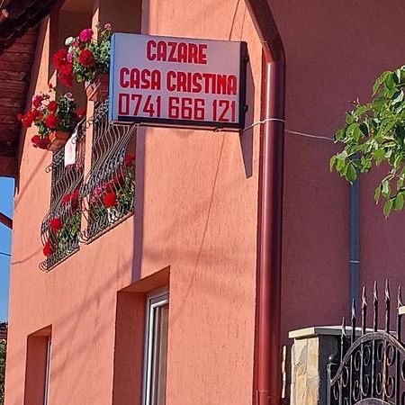 Casa Cristina Hotel Cîrţişoara Eksteriør billede