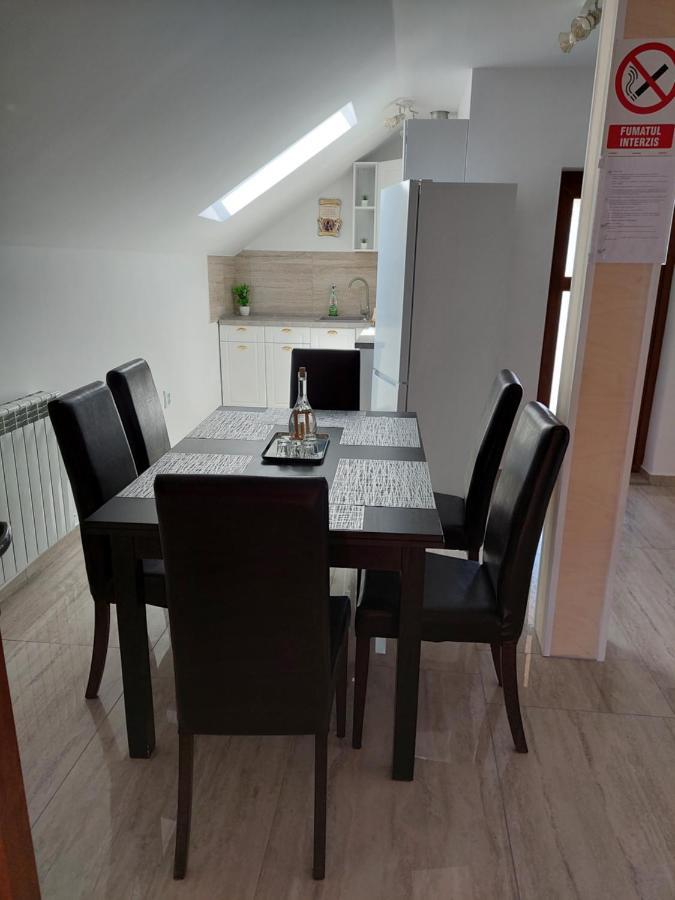 Casa Cristina Hotel Cîrţişoara Eksteriør billede