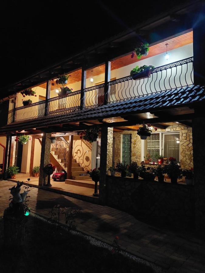 Casa Cristina Hotel Cîrţişoara Eksteriør billede