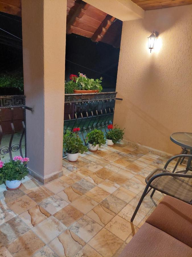 Casa Cristina Hotel Cîrţişoara Eksteriør billede