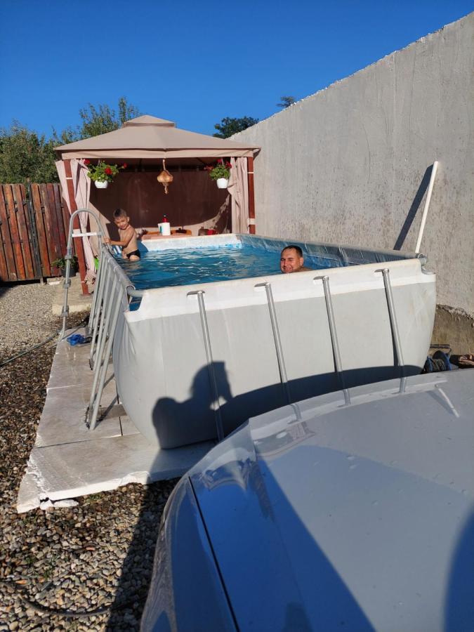 Casa Cristina Hotel Cîrţişoara Eksteriør billede