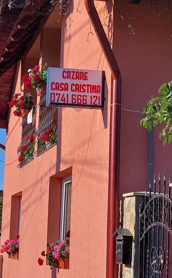 Casa Cristina Hotel Cîrţişoara Eksteriør billede