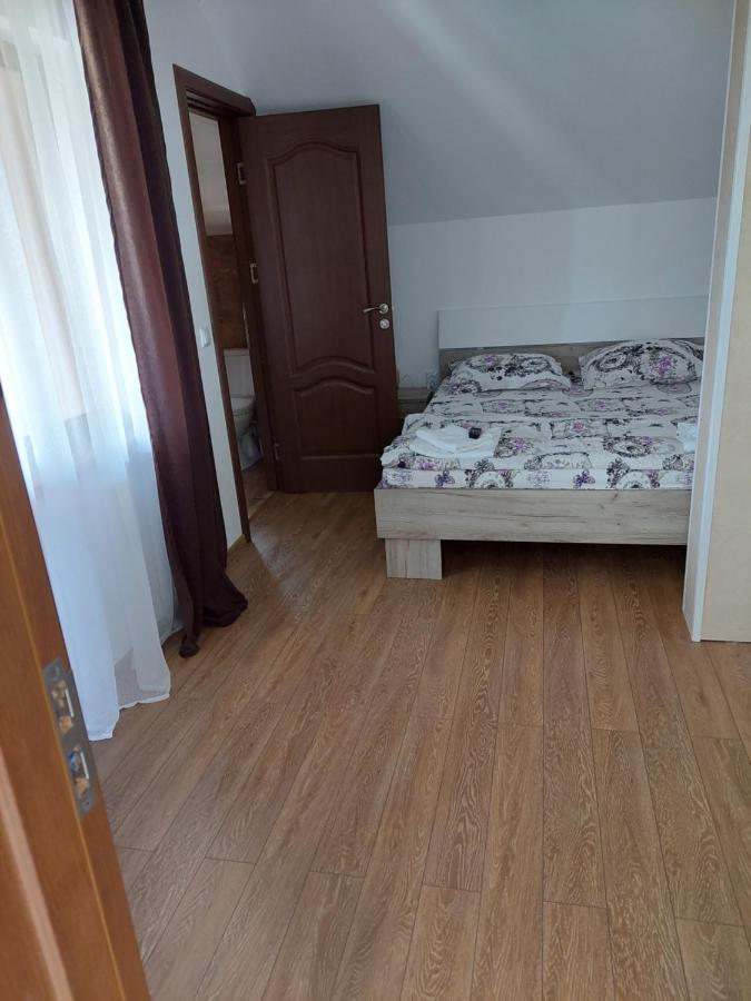 Casa Cristina Hotel Cîrţişoara Eksteriør billede