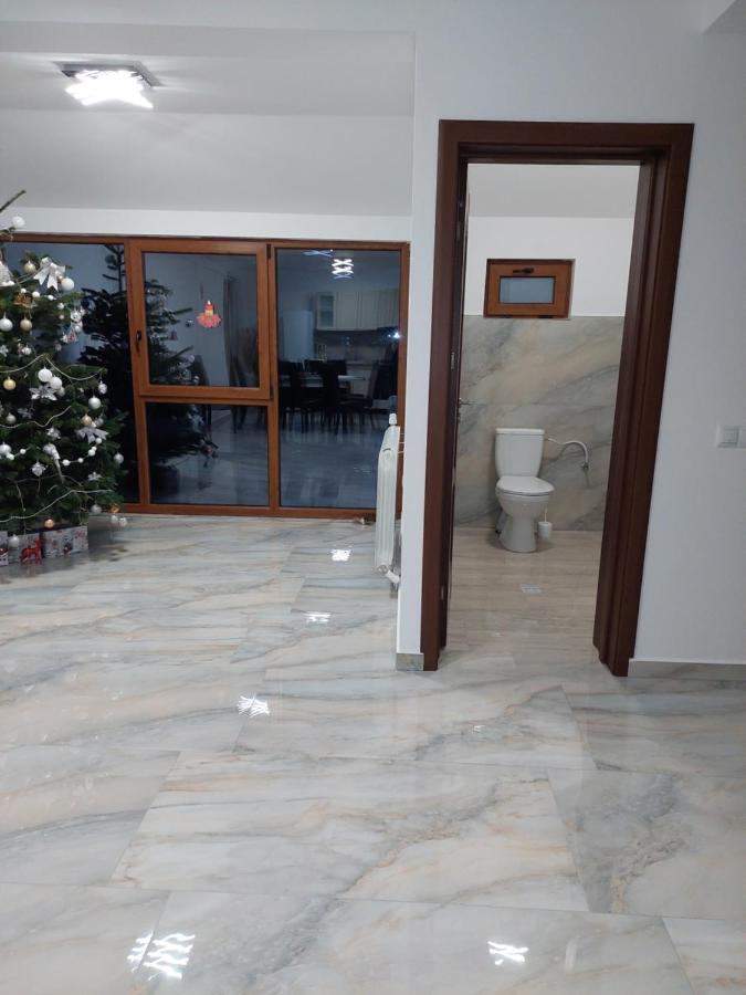 Casa Cristina Hotel Cîrţişoara Eksteriør billede