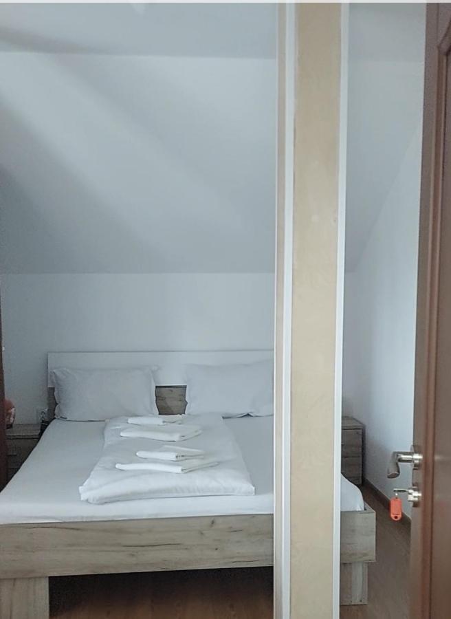 Casa Cristina Hotel Cîrţişoara Eksteriør billede