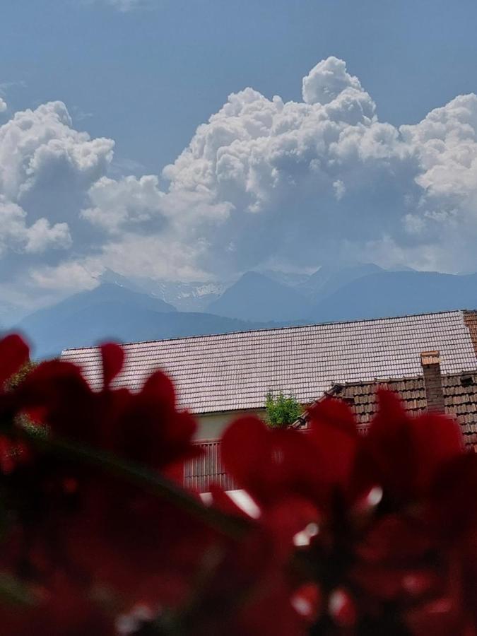 Casa Cristina Hotel Cîrţişoara Eksteriør billede