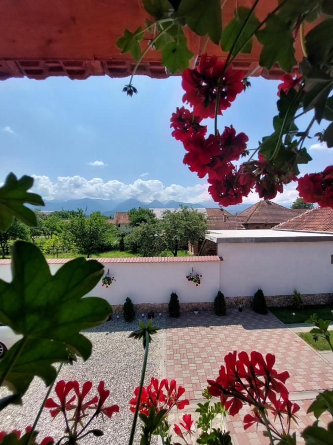Casa Cristina Hotel Cîrţişoara Eksteriør billede