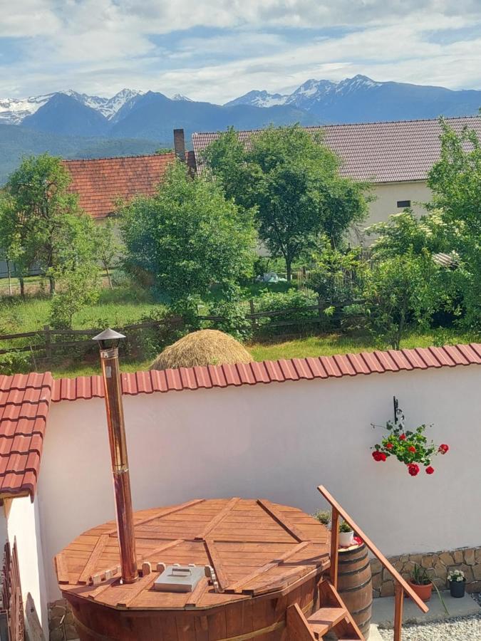 Casa Cristina Hotel Cîrţişoara Eksteriør billede
