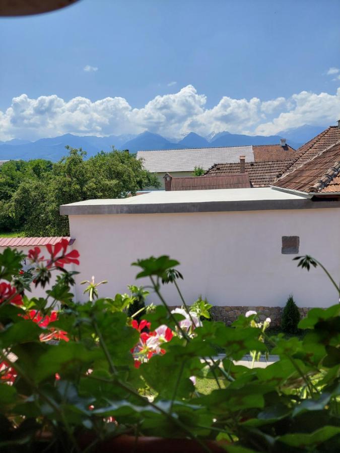 Casa Cristina Hotel Cîrţişoara Eksteriør billede