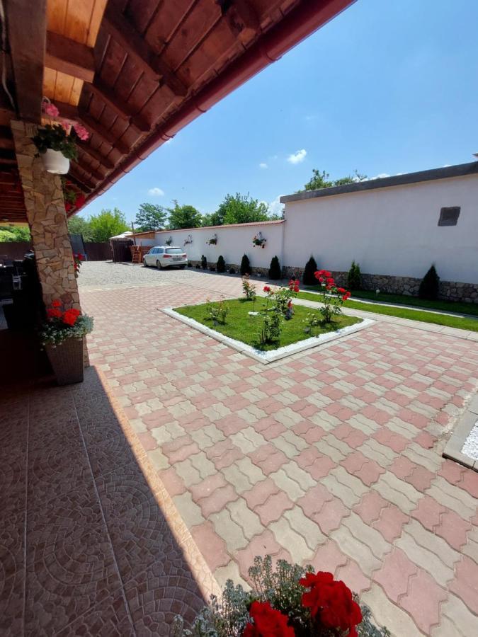 Casa Cristina Hotel Cîrţişoara Eksteriør billede