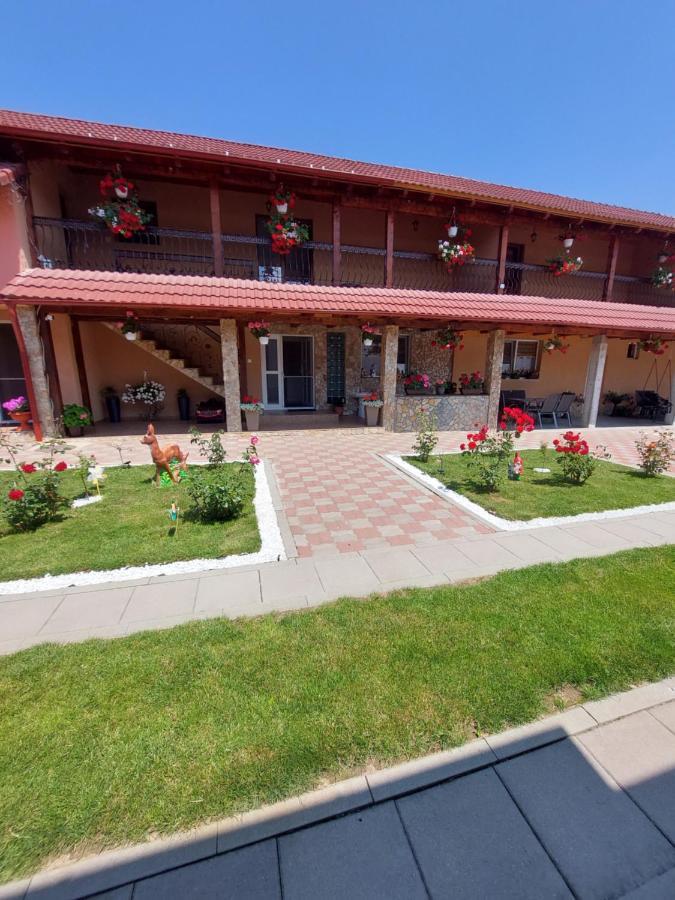 Casa Cristina Hotel Cîrţişoara Eksteriør billede
